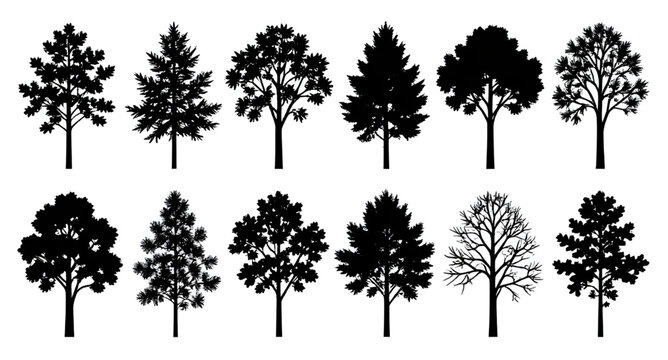 Simple Black Tree Silhouette Icons Vector Graphic Isolated White Background Nature Decor Elements