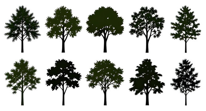 Black Tree Silhouettes Vector Illustration Isolated White Background Simple Forest Set