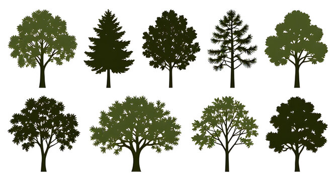 Tree Silhouettes Graphic Design Vector Isolated White Background Black Nature Icons