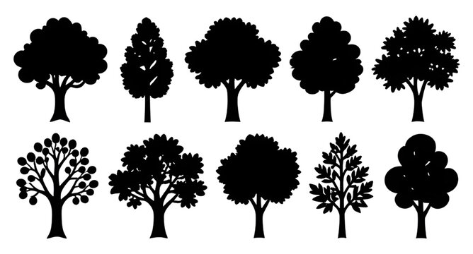 Tree Silhouettes Set Vector Graphic Isolated White Background Black Forest Tree Shapes