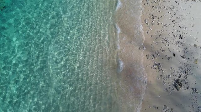 Aerial View of Tropical Beach Shoreline