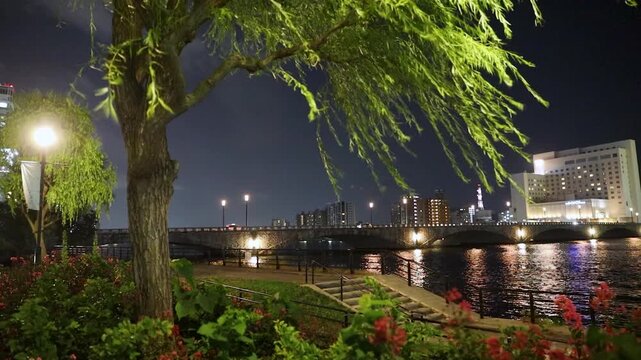夏の夜の萬代橋と風に揺れる柳	