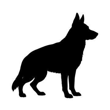 German Shepherd standing profile silhouette, logo-ready dog vector art