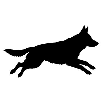 German Shepherd running silhouette, active dog black vector art
