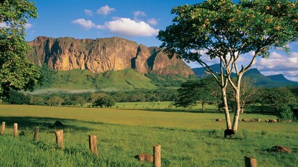 Fototapeta premium Vast Landscape with Mountains, Field, and Animals