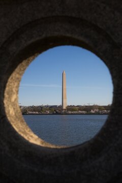 View of the Washington Monument in Spring with Cherry Blossoms Blooming