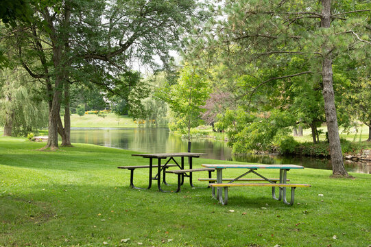 Peaceful Picnic Area in a Green Park Surrounded by Trees