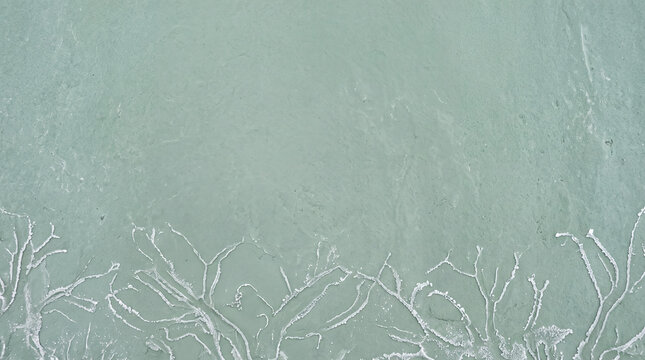 Mint Green Textured Background with White Branching Border and Copy Space