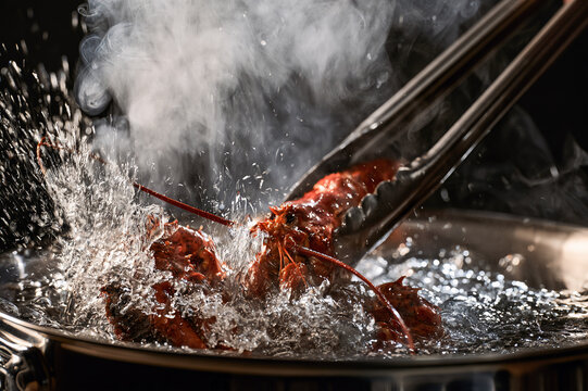 whole lobster being lowered into a pot of boiling water