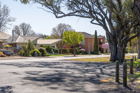 Quiet residential street with brick homes and mature trees, large mature native trees casting dappled shadows across the road. The calm, everyday character of a regional Victorian neighbourhood.