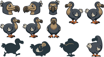 Cute Cartoon Dodo Bird Vector Character Set Featuring Various Poses Expressions and Silhouettes for Extinct Animal Illustration and Kids Designs © Sumaiya