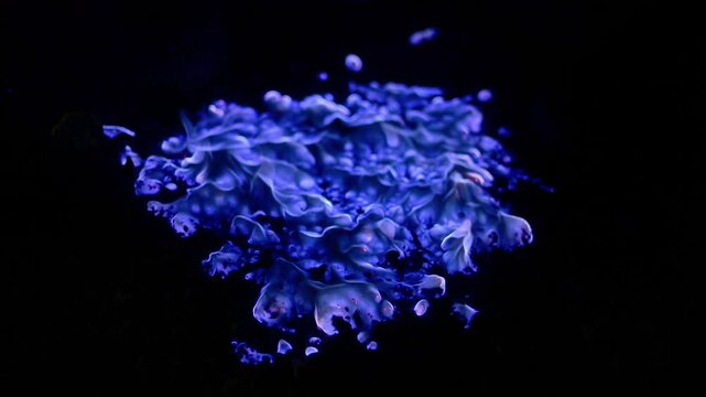 Close up of Blue flames caused by the burning of sulfur in the Ijen caldera, East Java of Indonesia.