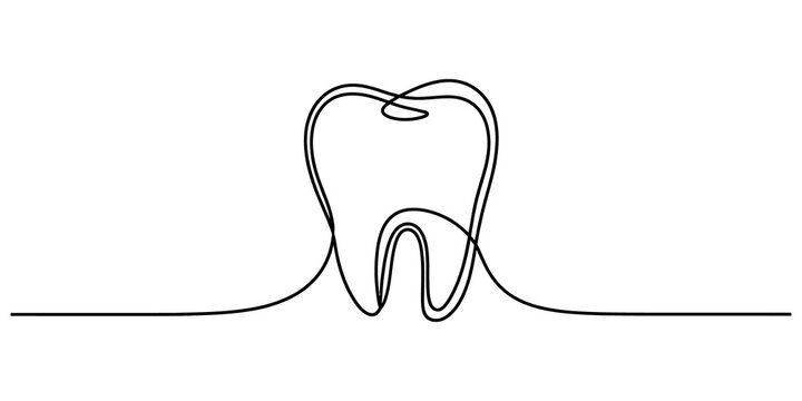 Continuous single line drawing of a human tooth