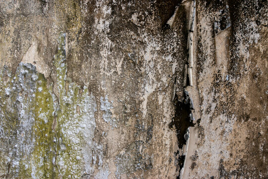 A close-up view of peeling paint and weathered texture on a dirty wall, resembling a  grunge effect