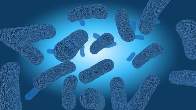3D rendering of Akkermansia muciniphila gut bacteria floating