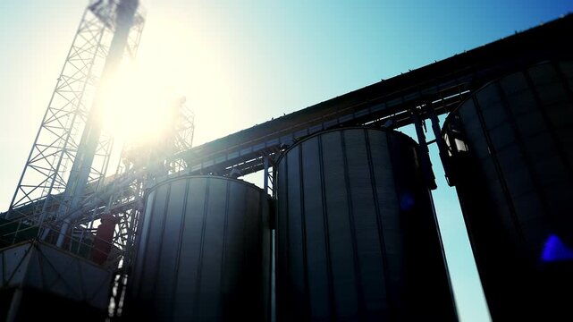 Low angle view of grain silos and conveyor system at an agricultural storage facility in bright sunlight. Industrial infrastructure for grain handling and storage.