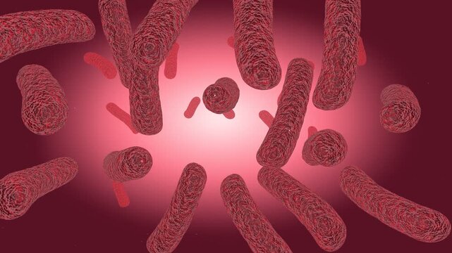 3D animation of Halobacterium salinarum archaea in hypersaline fluid