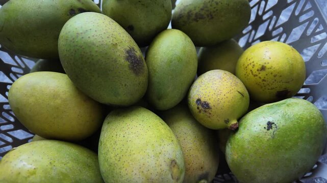 Mangoes in a basket showing different shapes and colors