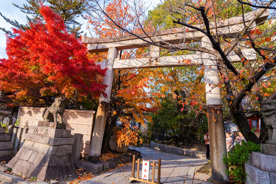 Autumn background with maple leaves,
during the season of autumn foliage, a period of exceptional beauty. 