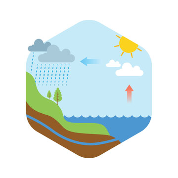 Water Cycle infographic. Water recycling system educational diagram for school projects flat vector illustration