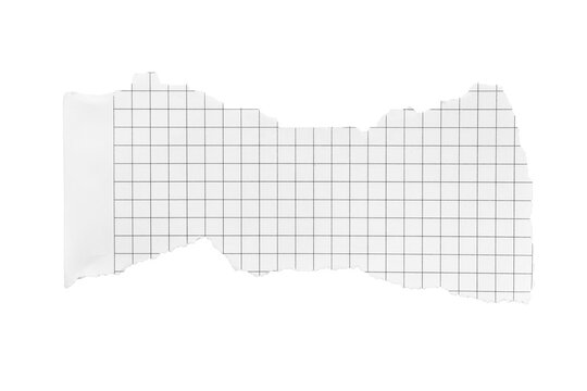 Scrap ripped strimmin grid paper isolated transparent