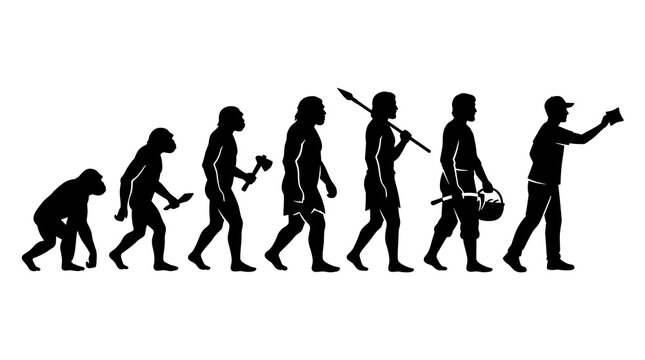 Scientific illustration showing the stages of human evolution from early primates to modern homo sapiens in a linear sequence, including various hominid species in profile view.