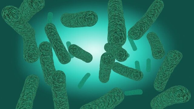 Microscopic Synechococcus elongatus Cyanobacteria Floating in 3D