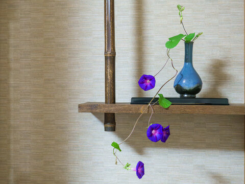 花瓶に飾られた朝顔