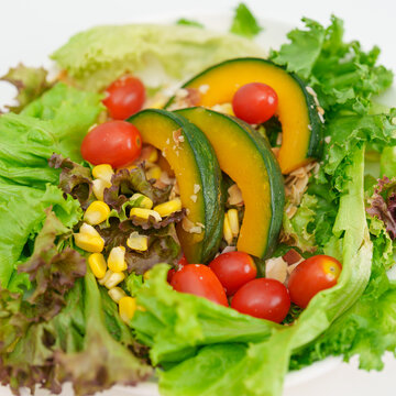 fresh organic vegetables salad on plate. healthy nutrition, weight loss, clean eating, Healthy food eating, Vegan, Wellness, Green dieting and Healthy lifestyle