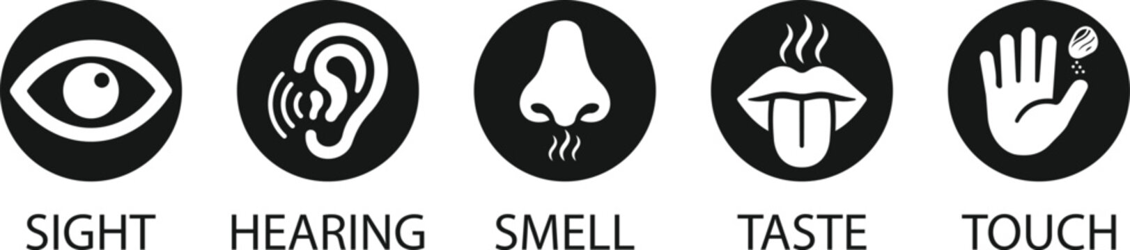 Five human senses sensory perception sight hearing smell taste touch round badge icon set vector illustration with black solid and colorful icons fully editable and isolated on transparent background
