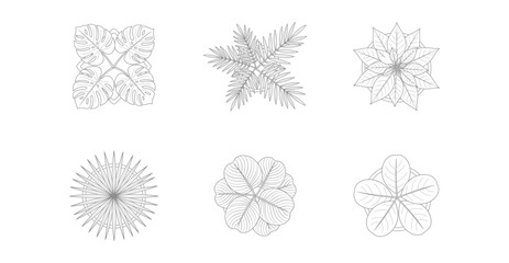 Obraz premium Top view set of various indoor potted plants, architectural flat vector icons for landscape design and interior decoration