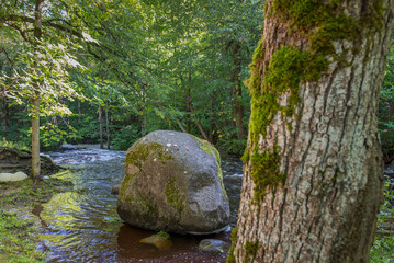 Serene Wilderness Stream and Natural Boulder. © Ludmila Smite