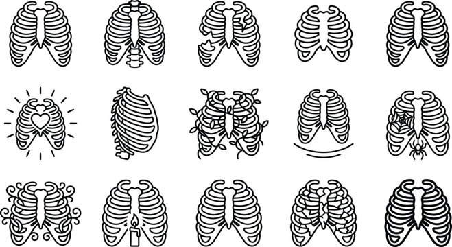Human rib cage vector illustration set featuring various creative styles and medical elements on transparent background