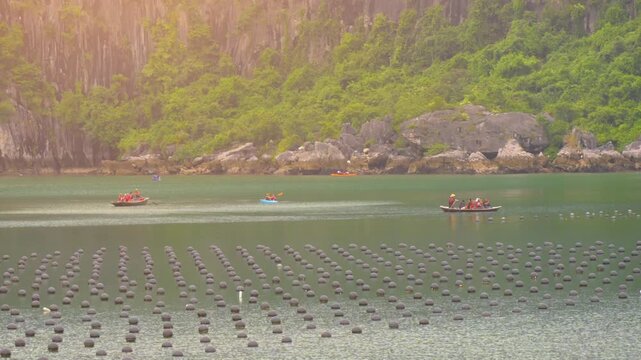 Tourists kayaking through an oyster pearl farm and lush green limestone mountain in Ha Long Bay, Vietnam