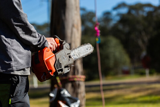arborist tree surgeon holding a chainsaw by tree ready to begin work