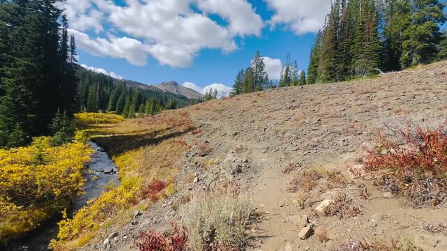 Hiking Along Beautiful Stream On Hillside