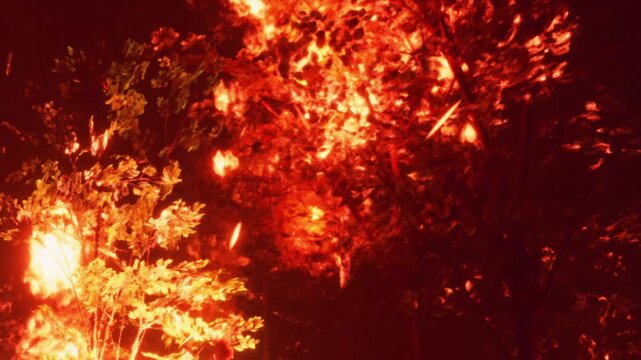 Bright flames engulf the trees, casting an eerie glow in the darkness. The scene is chaotic and powerful as nature unleashes its fury, illuminating the night sky.