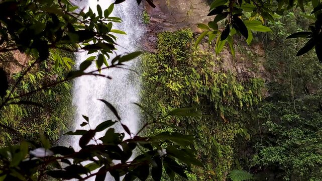 Tavoro Waterfall through trees with ferns on sheer rocky cliff in Bouma National Heritage Park on Taveuni Island in Fiji, South Pacific