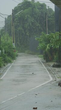 Vertical view of tropical rainstorm and heavy rainfall pouring on wet asphalt road.