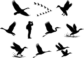 Obraz premium Migrating waterfowl silhouettes vector icon set. Featuring flying Canada goose, V formation flock, ducks taking off from water, heron, crane, large flock, and birdwatcher with binoculars.