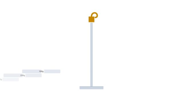 Laboratory Slotted Mass Hanger Weight Stack with Stainless Steel Discs and Metric Engravings