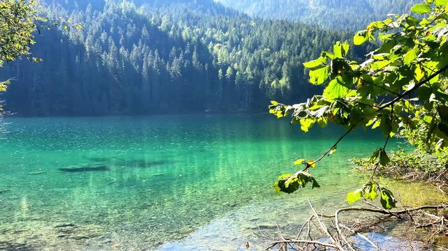 Panorama of Lake Tovel, in Trentino, Northern Italy, during a sunny autumn day. Lake Tovel is an alpine lake located in the Tovel Valley, in the municipality of Ville d'Anaunia in Val di Non