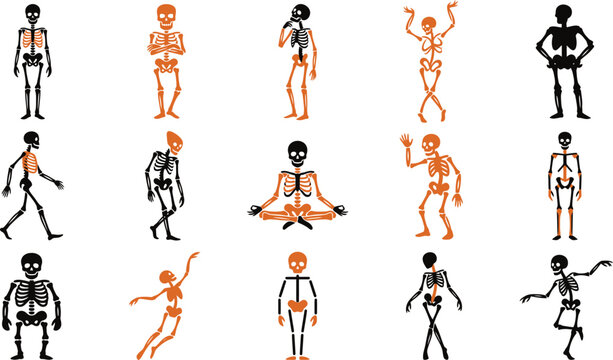 Vector character set of varied skeleton activities and postures for creative design with skeleton