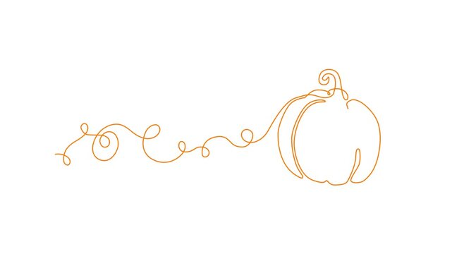 Continuous Single Line Art Animation of Pumpkin
