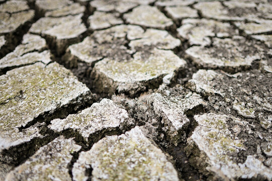 Parched earth split into a mosaic of curling, sun-baked clay plates, a stark record of prolonged drought and vanishing water