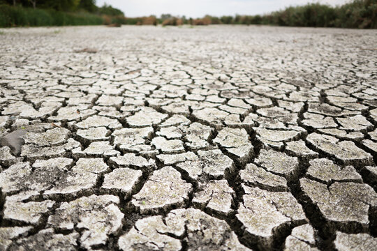 Parched earth split into a mosaic of curling, sun-baked clay plates, a stark record of prolonged drought and vanishing water