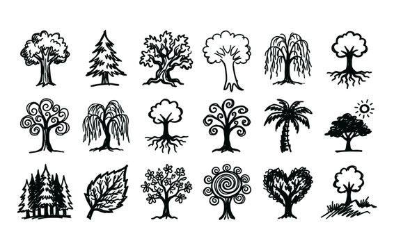 Forest trees and nature vector illustrations featuring sketchy deciduous pines weeping willows exposed root systems palm trees and flowering botanical elements