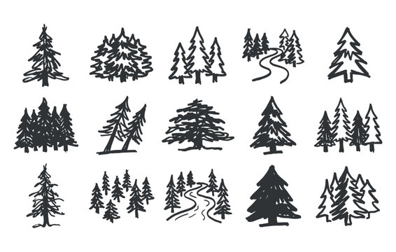 Hand drawn evergreen woodland illustration set showcasing doodle style pine clusters mountain forests winter trees rustic nature elements and scenic landscape symbols