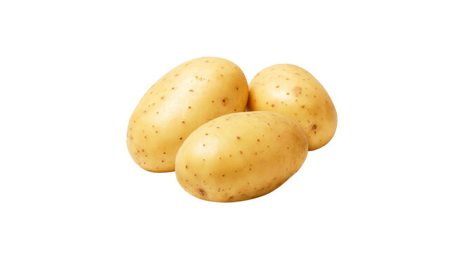 Fresh whole organic yellow potatoes isolated on black background