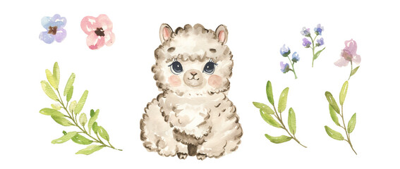 Cute watercolor alpaca - cute little baby llama, fluffy wool character. Illustration for nursery, baby shower, children card, boho collection. © NATALIA